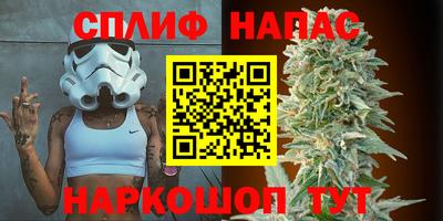 дмт Беслан