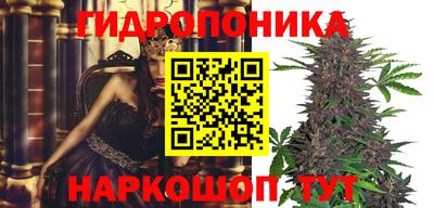 гашиш Берёзовский